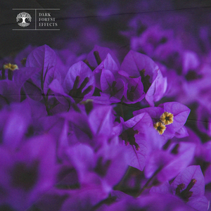 乡村作爱性爱史
