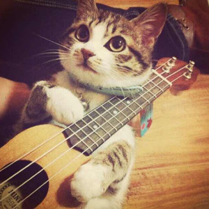 乡村作爱性爱史
